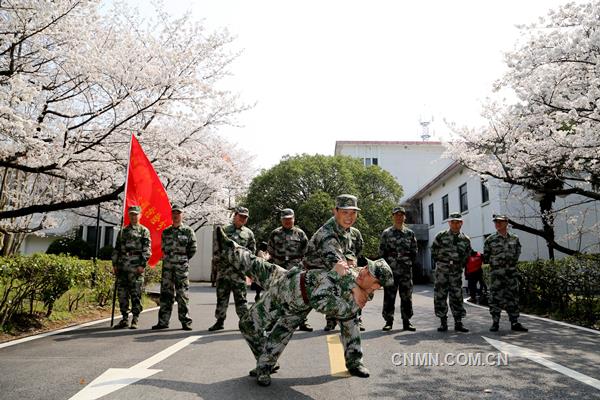 3月22日，陽光明媚，春意融融，銅陵有色安慶銅礦櫻花綻放。該礦民兵應急分隊隊員們正在櫻花樹下展開擒敵技能大比武。據了解，這是一支平均年齡在三十歲以下、由青工組成的精干隊伍，在礦山急難險重的工作中，都活躍著他們的身影，是一支作風過硬、紀律嚴明、能打硬仗的礦山“護衛(wèi)隊”。